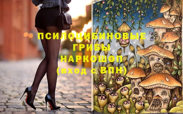 spice Лиски