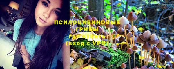 шишки Липки
