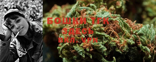 тгк Магас