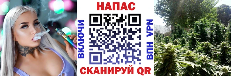 Канабис Bruce Banner  Купить  Борисоглебск 
